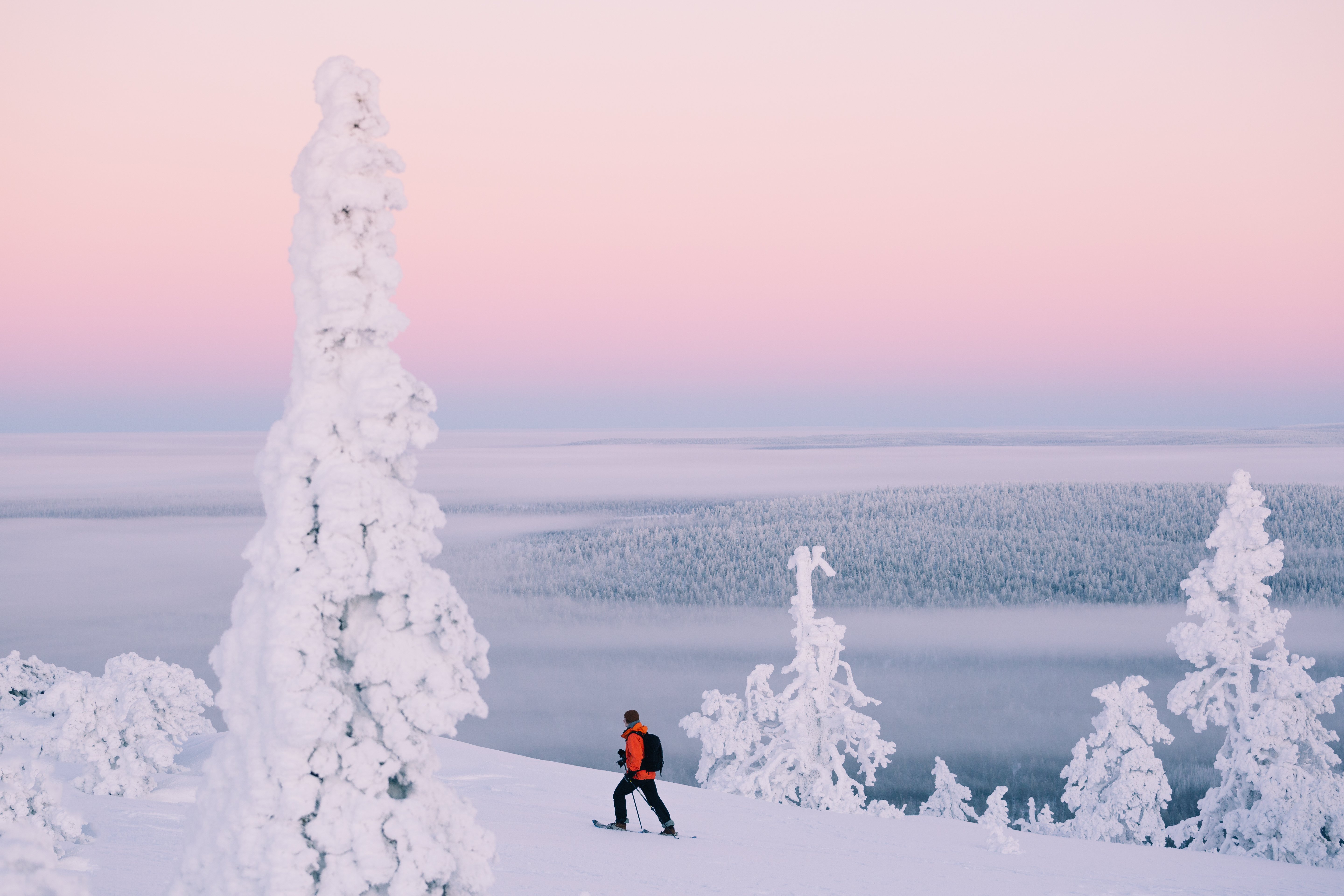 Finland_Lapland_winter_pink_sunset