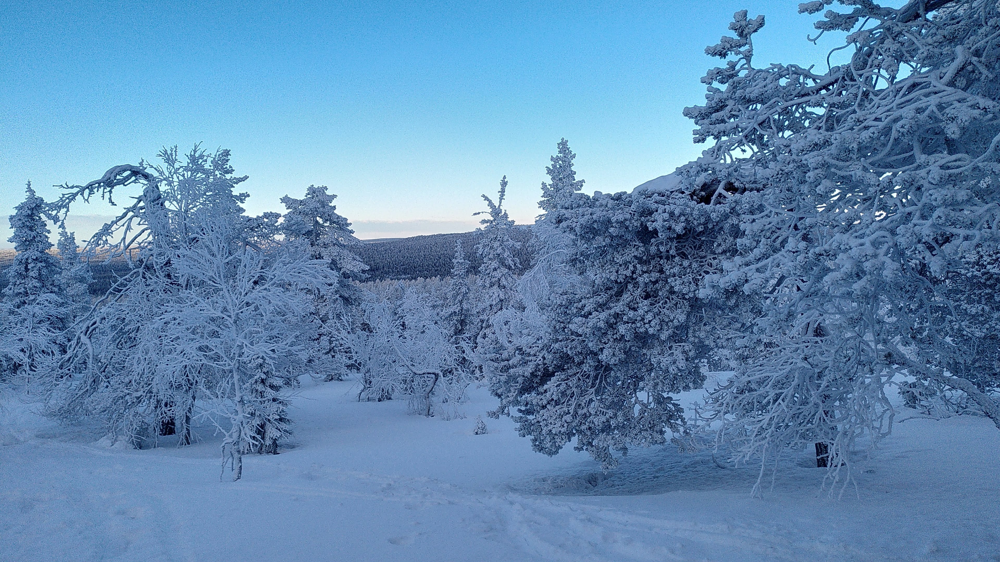 Lapland-landschap-Eline-bevroren-bomen-fatbiken